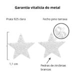 Brinco De Prata 925 Estrela Zircônias Cravejadas 1,1 cm - Imagem 3