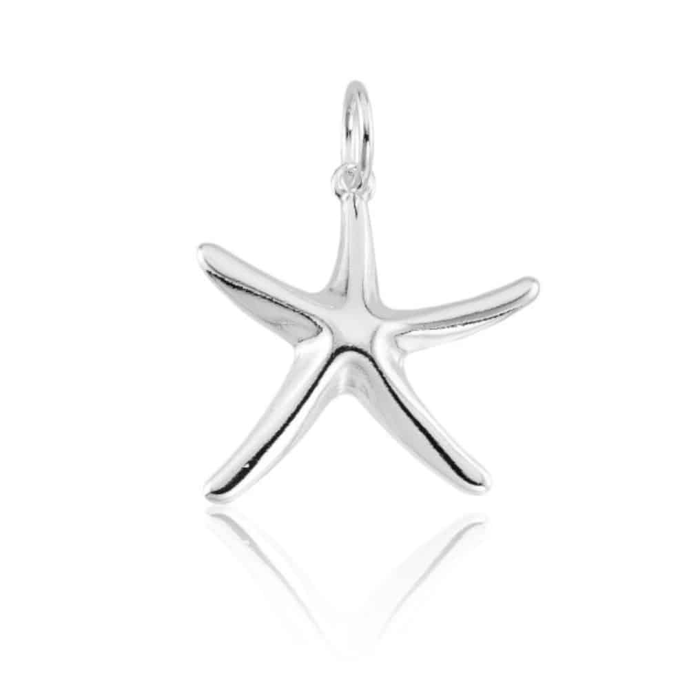 d79870575cdd539c5a9930aeec85ccb5.jpg Pingente de prata 925 estrela do mar - Imagem 1